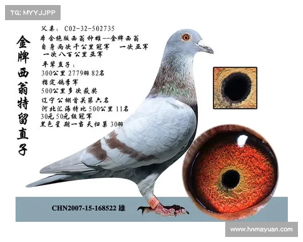 安捷赛事号 安捷赛事号